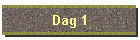 Dag 1